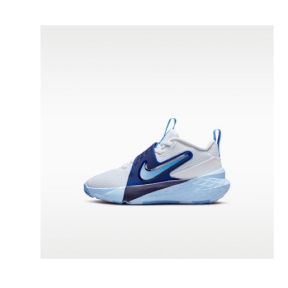 Nike team hustle d 12 White and Blue Sneakers